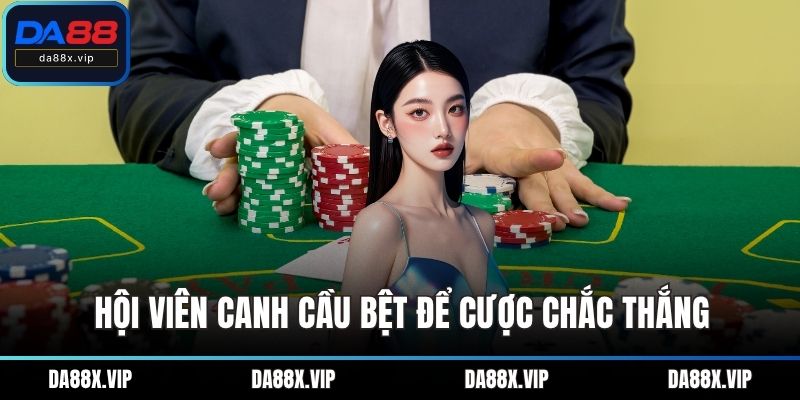 Hội viên canh cầu bệt để cược chắc thắng