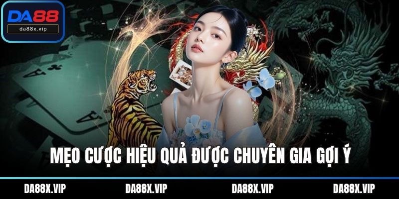 Mẹo cược hiệu quả được chuyên gia gợi ý