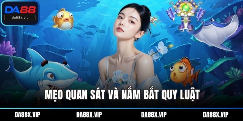 Mẹo quan sát và nắm bắt quy luật